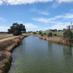 Murray River - Murray Bridge