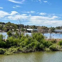 Murray River - Murray Bridge