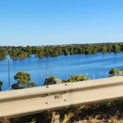 Murray River - Murray Bridge
