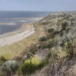 Younghusband Peninsula - Murray Bridge