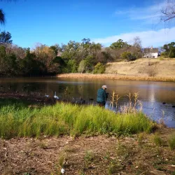 Bakers Lagoon Nature Reserve - Muswellbrook