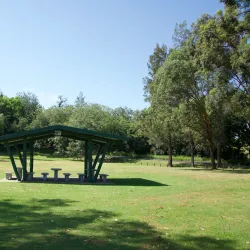 Bakers Lagoon Nature Reserve - Muswellbrook