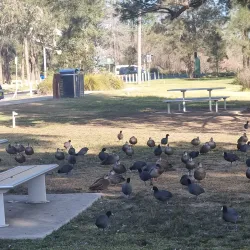 Bakers Lagoon Nature Reserve - Muswellbrook