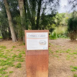 Bakers Lagoon Nature Reserve - Muswellbrook