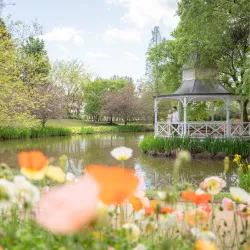 Hunter Valley Gardens - Muswellbrook