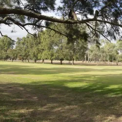 Muswellbrook Golf Club - Muswellbrook