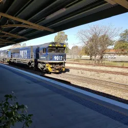 Muswellbrook Railway Station - Muswellbrook