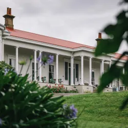 Bushy Park Forest Reserve - New Norfolk