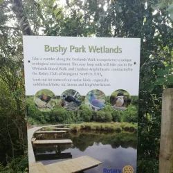 Bushy Park Forest Reserve - New Norfolk