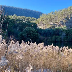 Derwent River Walk - New Norfolk