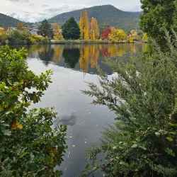 Derwent River Walk - New Norfolk
