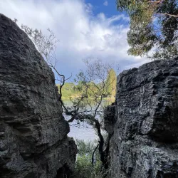 Derwent River Walk - New Norfolk