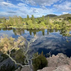 Derwent River Walk - New Norfolk