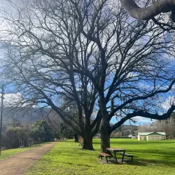 Derwent River Walk - New Norfolk