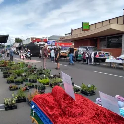 New Norfolk Farmers Market - New Norfolk