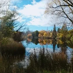 New Norfolk Historic Bridge - New Norfolk