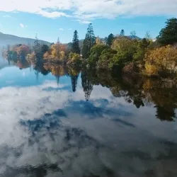 New Norfolk Historic Bridge - New Norfolk