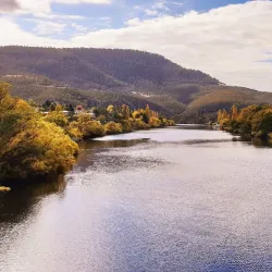 New Norfolk Historic Bridge - New Norfolk