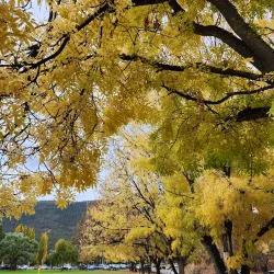 Penna Park - New Norfolk