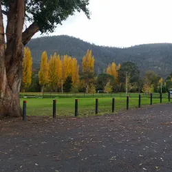 Penna Park - New Norfolk