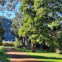 Penna Park - New Norfolk