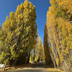 Salmon Ponds Heritage Hatchery - New Norfolk