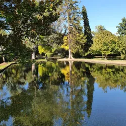 Salmon Ponds Heritage Hatchery - New Norfolk