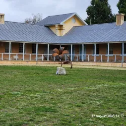 Willow Court Historic Site - New Norfolk