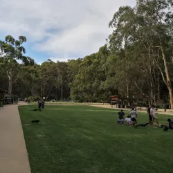 Blackbutt Reserve - Newcastle