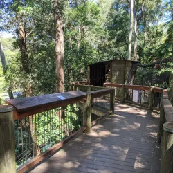 Blackbutt Reserve - Newcastle
