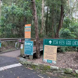 Blackbutt Reserve - Newcastle