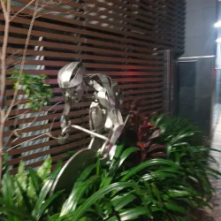 Darby Street - Newcastle