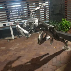 Darby Street - Newcastle