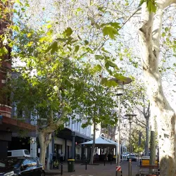 Hunter Street Mall - Newcastle