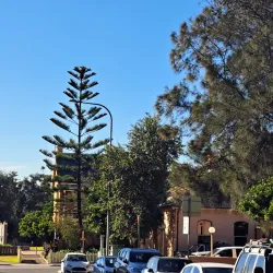 Hunter Street Mall - Newcastle