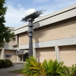 Newcastle Art Gallery - Newcastle