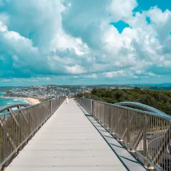 Newcastle Memorial Walk - Newcastle