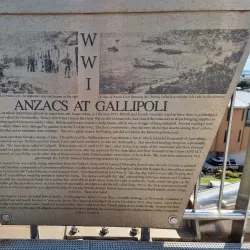 Newcastle Memorial Walk - Newcastle