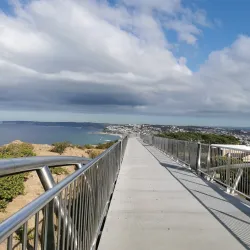 Newcastle Memorial Walk - Newcastle