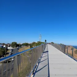 Newcastle Memorial Walk - Newcastle