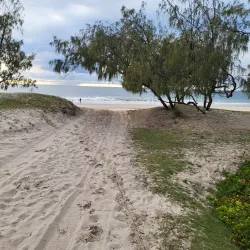 Bribie Island National Park - Ningi