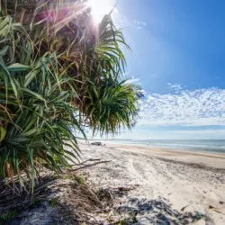 Bribie Island National Park - Ningi