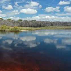 Bribie Island National Park - Ningi