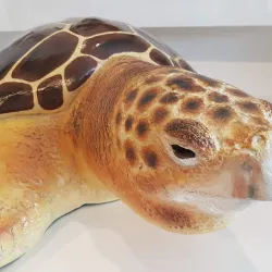 Bribie Island Seaside Museum - Ningi