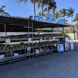 Ningi Markets - Ningi