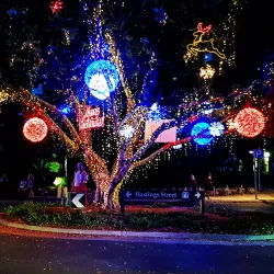 Hastings Street - Noosa Heads