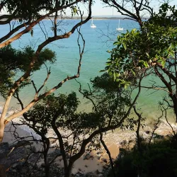 Laguna Bay - Noosa Heads