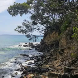 Laguna Bay - Noosa Heads
