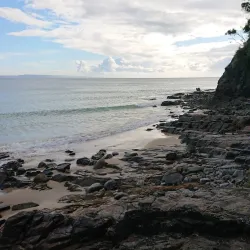 Laguna Bay - Noosa Heads