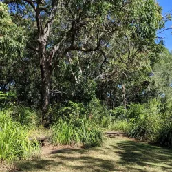 Laguna Lookout - Noosa Heads